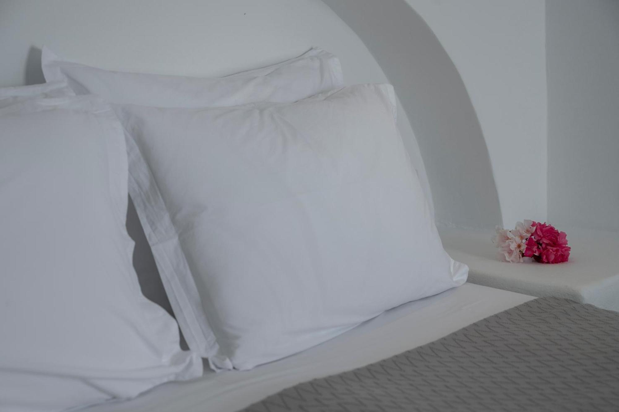 Aegean Dream Apartments Тинос Экстерьер фото